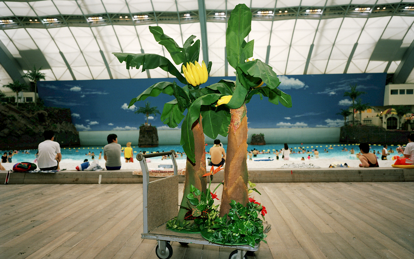 © KEYSTONE / Magnum Photos / Martin Parr