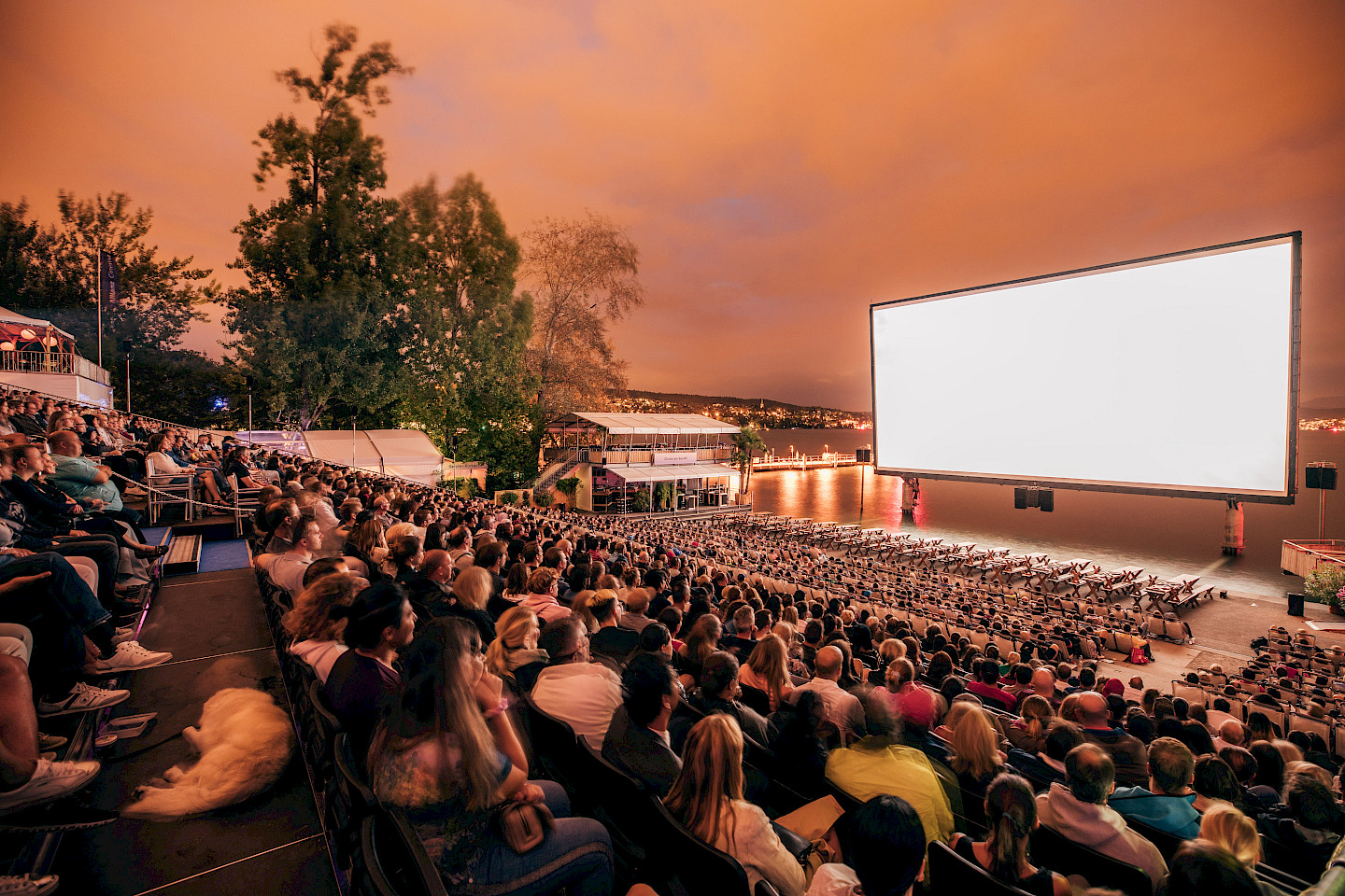 Allianz Cinema 2022