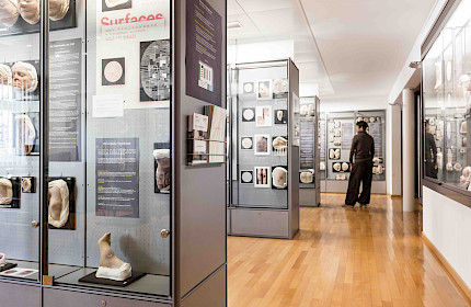 Mein erstes Mal … im Moulagenmuseum