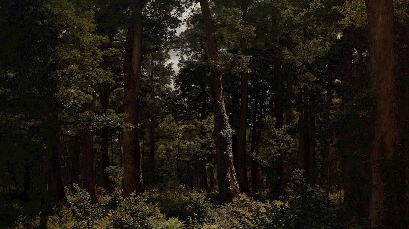 Robert Zünd malt den Eichenwald mehrmals fast identisch. Durch seinen akribischen Malstil nimmt er eine besondere Position in der Schweizer Landschaftsmalerei ein. © Kunstmuseum Luzern, Foto: Roberto Pellegrini