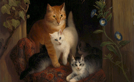 Katzen im Kunsthaus
