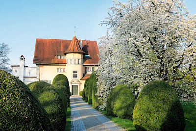 Der Garten