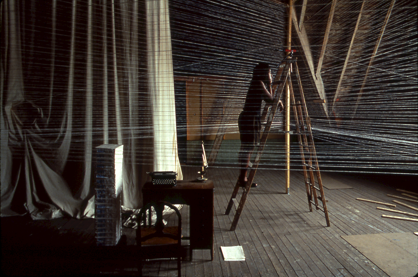 Vernissage: Renée Green "Inevitable Distances"