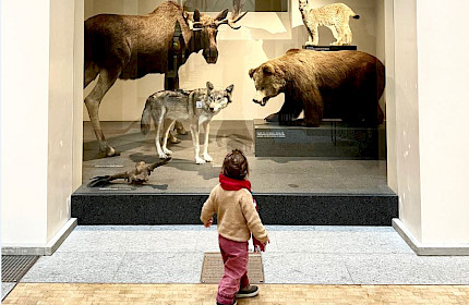 Mehr als ausgestopfte Tiere