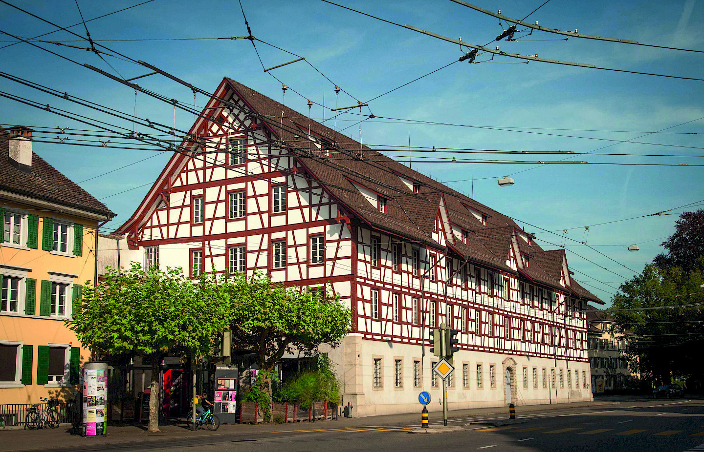 Kunterbunte, kugelrunde Pudelhunde