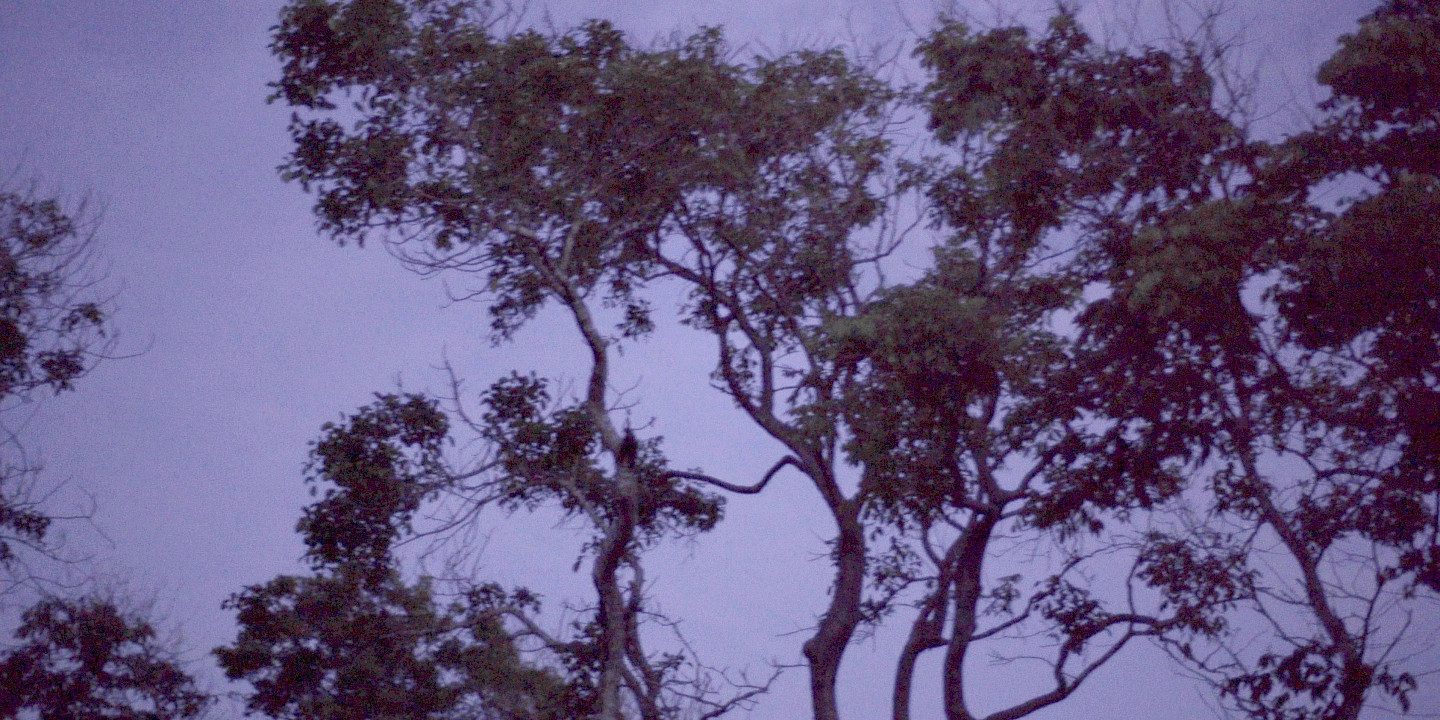 Christopher Kulendran Thomas in conversation with Michelle Kuo