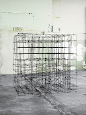 Ausstellung «Stellung beziehen» von Käthe Kollwitz und Mona Hatoum im Kunsthaus Zürich