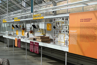 Blick+auf+die+Ausstellungsvitrine+zur+gegenw%c3%a4rtigen+wissenschaftlichen+Arbeitspraxis.+%c2%a9+Sukkulenten-Sammlung+Z%c3%bcrich