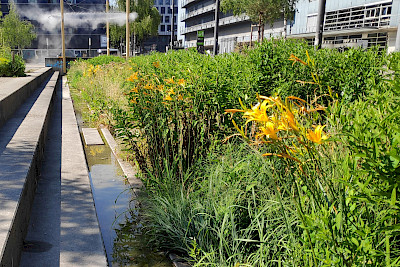 WASSERSTADT ZÜRICH