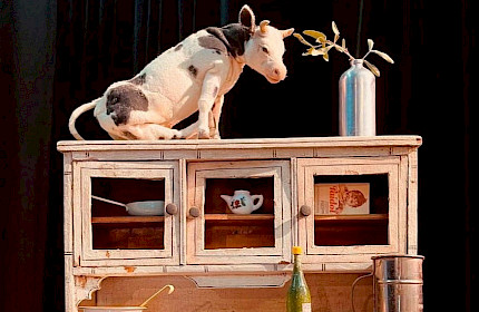 Theatertipps im April