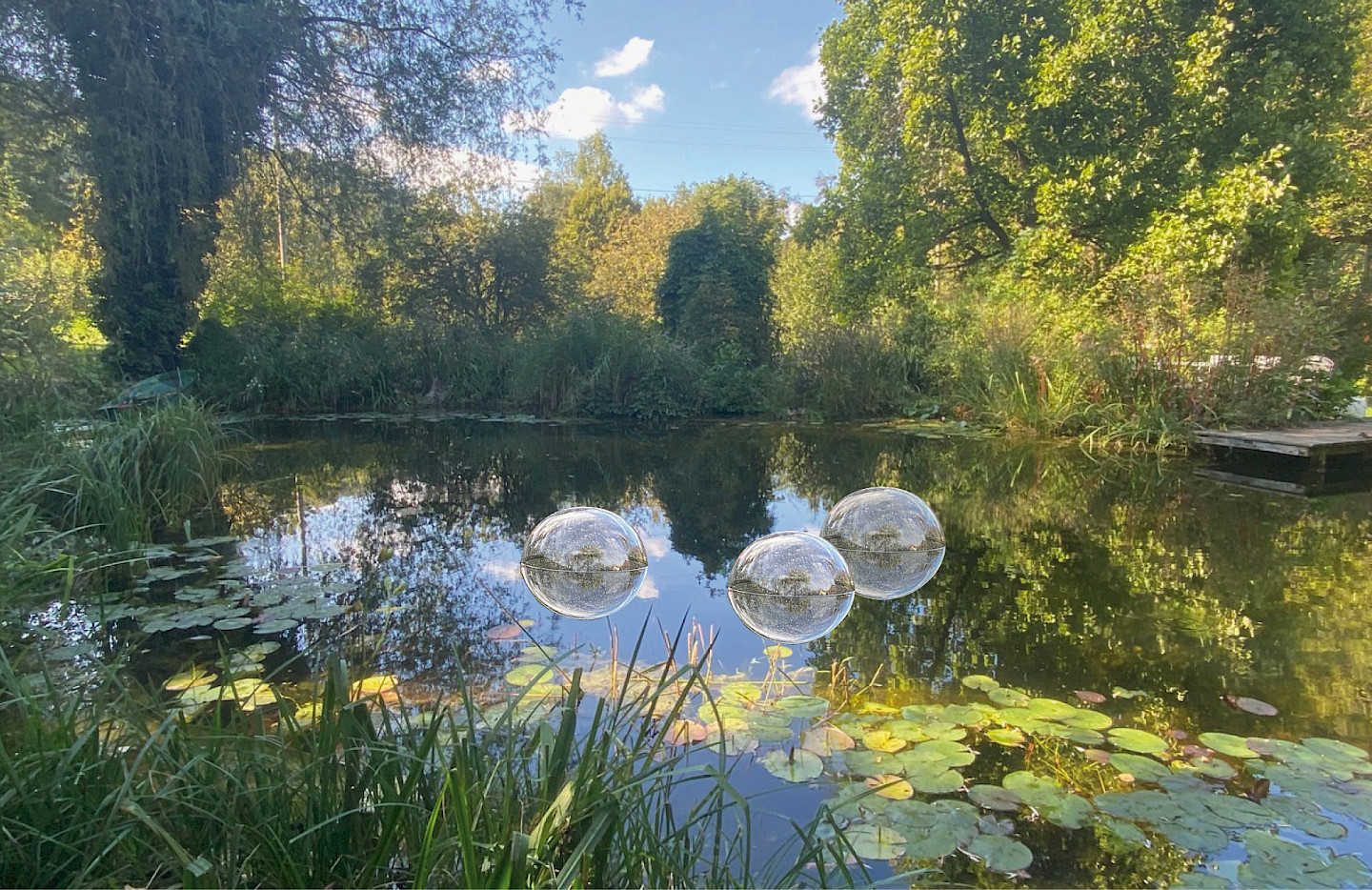 Hortus conclusus – in the garden of senses