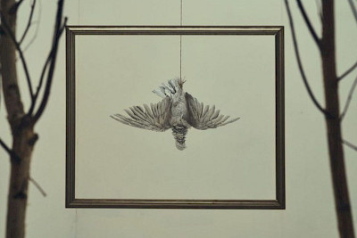 DEAD PALOMA - AUSSTELLUNG