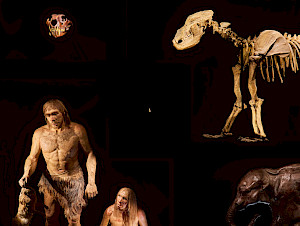 24+78+Pressenilder+Dauerausstellung+NMZ+042+B+Web