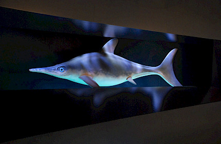 Mein erstes Mal ... Naturmuseum Winterthur