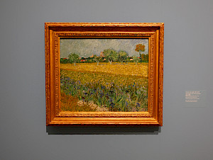 Vincent van Gogh mostly painted realistic landscapes and portraits, such as 