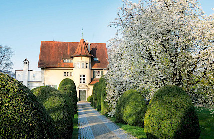 Mein erstes Mal… im Museum Haus C.G. Jung