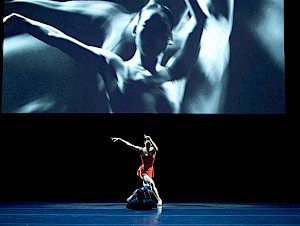 Foto: Admill Kuyler