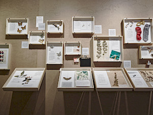 © Frank Blaser, Zürich