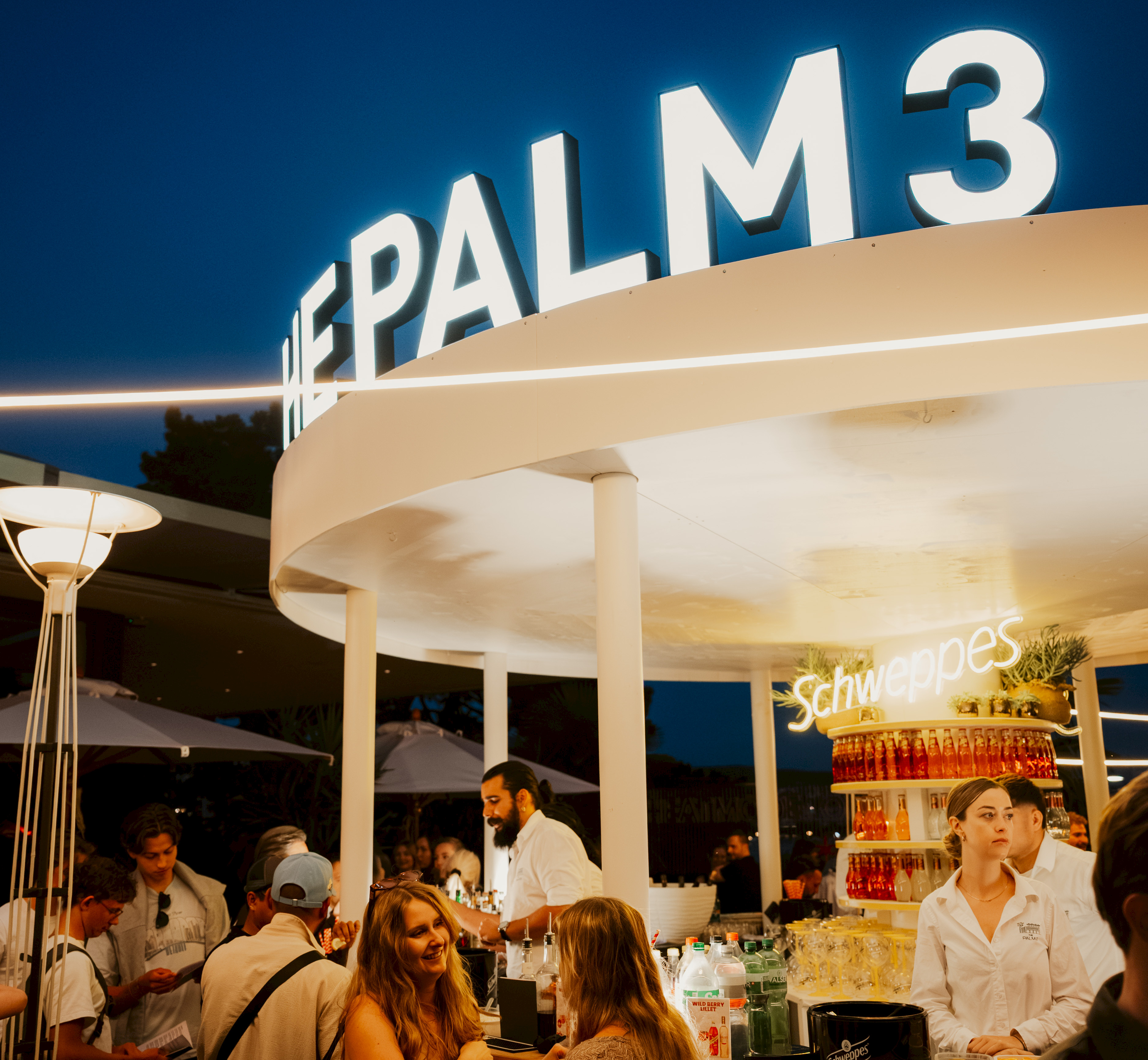 The Palm 3