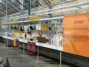 Blick+auf+die+Ausstellungsvitrine+zur+gegenw%c3%a4rtigen+wissenschaftlichen+Arbeitspraxis.+%c2%a9+Sukkulenten-Sammlung+Z%c3%bcrich