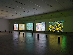 Rose Lowder, Bouquets, Kunsthalle Zürich, 2025. Bild: Cedric Mussano