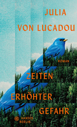Bild2