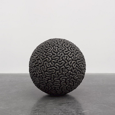 Mona Hatoum | Guided tour
