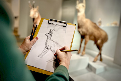 Open Drawing