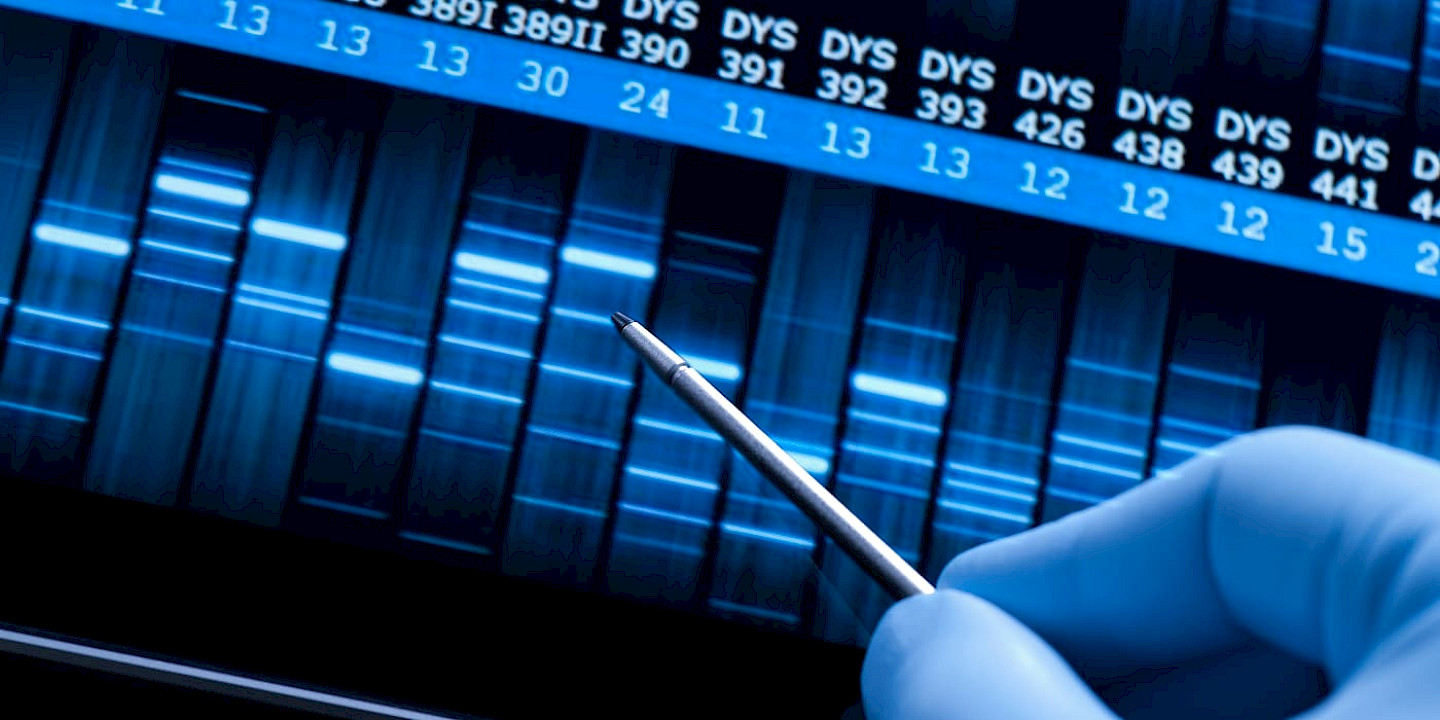 Epigenetik — Wenn die Umwelt Gene steuert