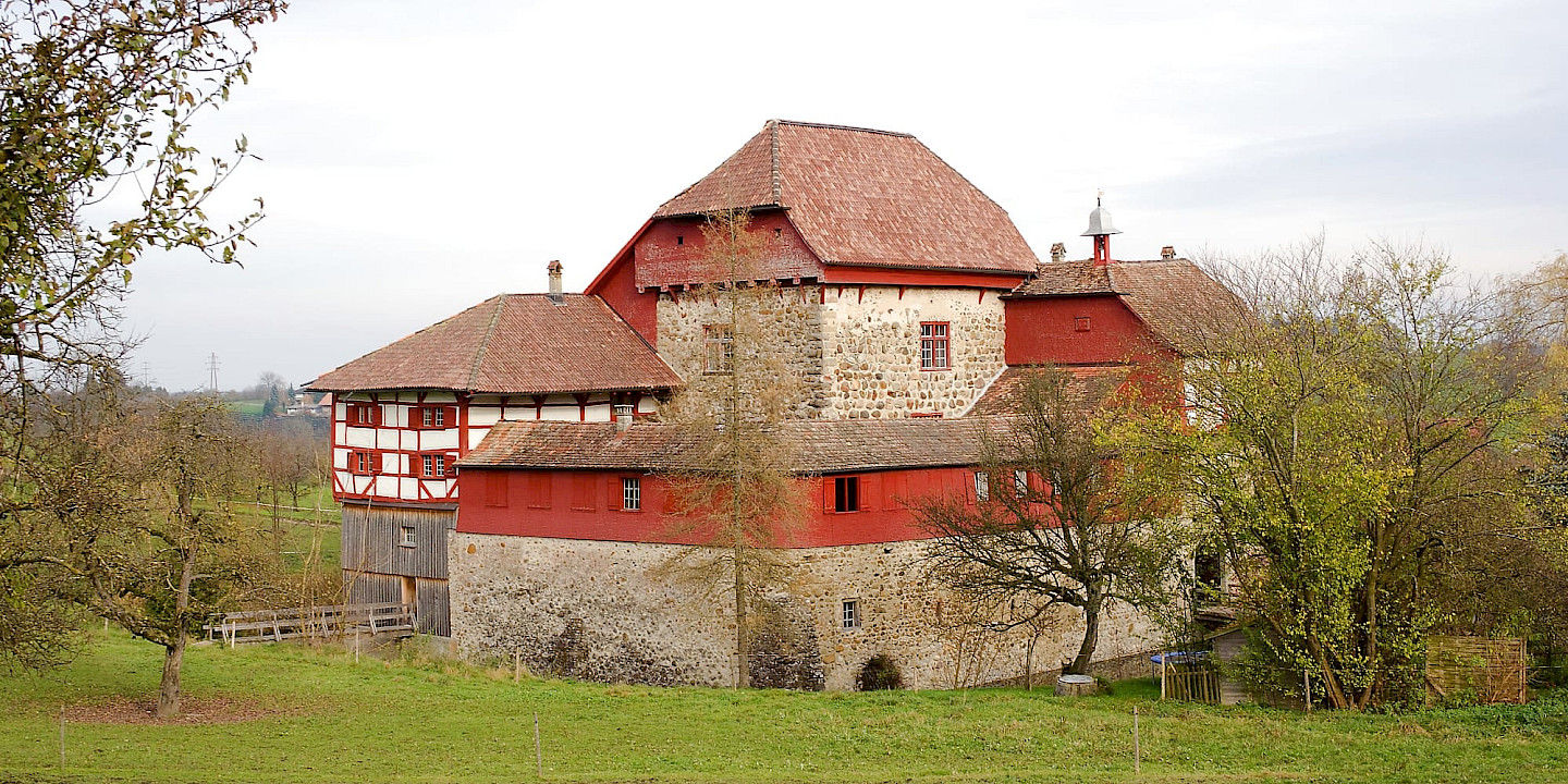 Burgruinen vor dem Verfall bewahren