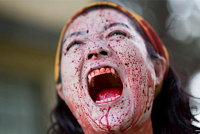 One Cut of the Dead (Kamera o tomeru na!)