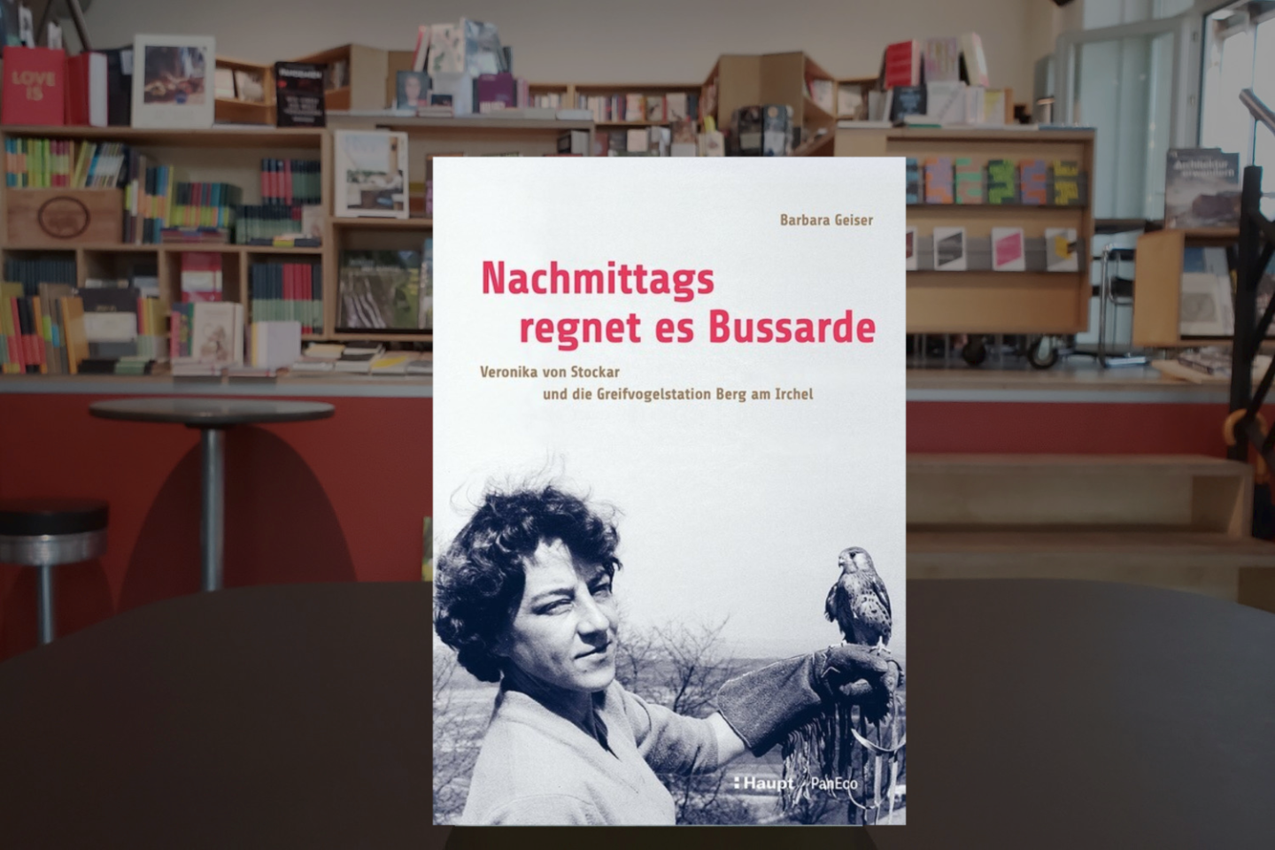 Barbara Geiser ● Nachmittags regnet es Bussarde