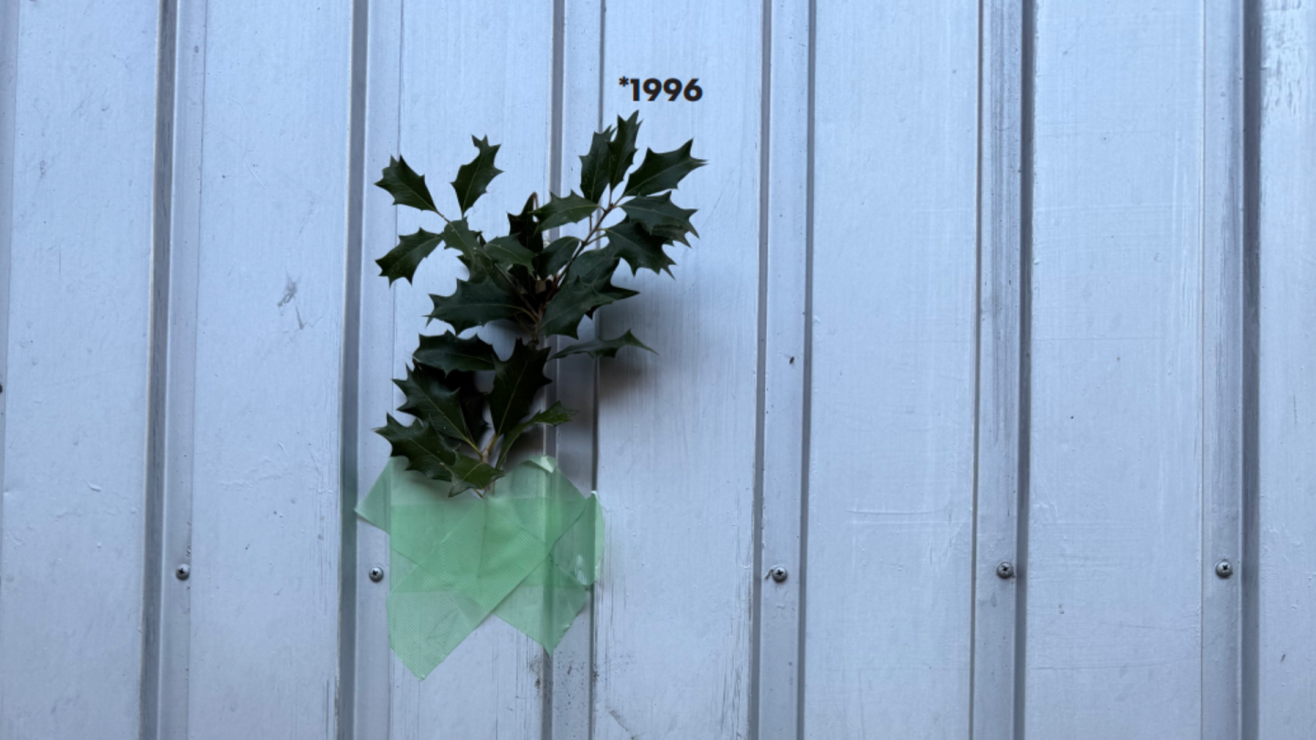30 years of domizil